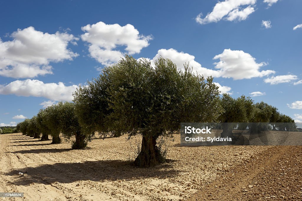 istockphoto-157640514-1024x1024